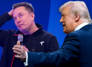 Трамп и Маск: Взаимные Услуги и Подколки