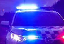 Озброєні грабіжники викрали п’ять розкішних автомобілів у сім’ї Квінсленда за одну ніч