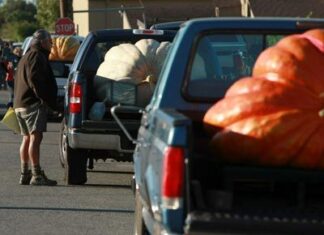 Як безпечно розрахувати вантажопідйомність автомобіля